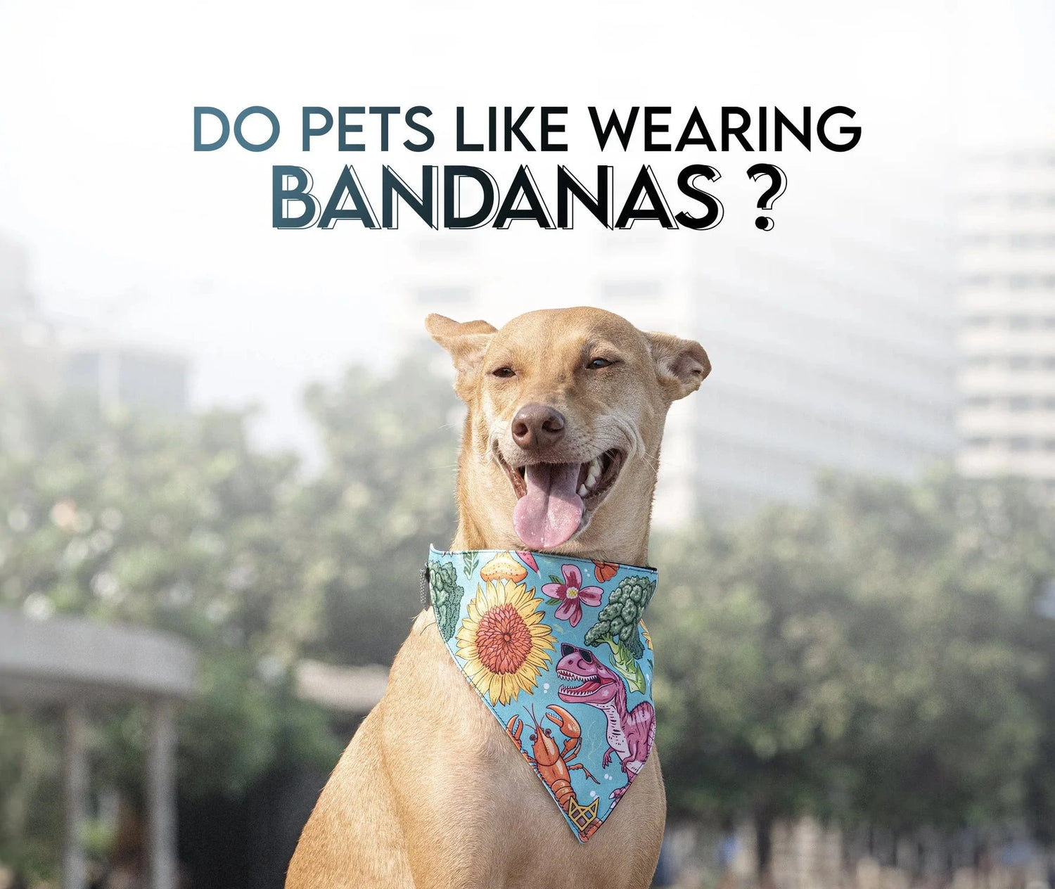 Dog wearing a colorful bandana with a question about pets liking bandanas.